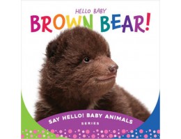 Hello Baby Brown Bear! Board Book